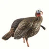 New Avian-X HDR Jake Turkey Decoy With Multiple Head Positions