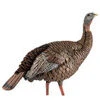 Avian-X HDR Hen Turkey Decoy With Multiple Head Positions -MIKE'S ARCHERY Sales hdr hen upright 1600x800 55136.1585858810