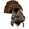 Avian-X HDR Strutter Decoy -MIKE'S ARCHERY Sales hdr strutter avx8108 3 1 05296.1650638937